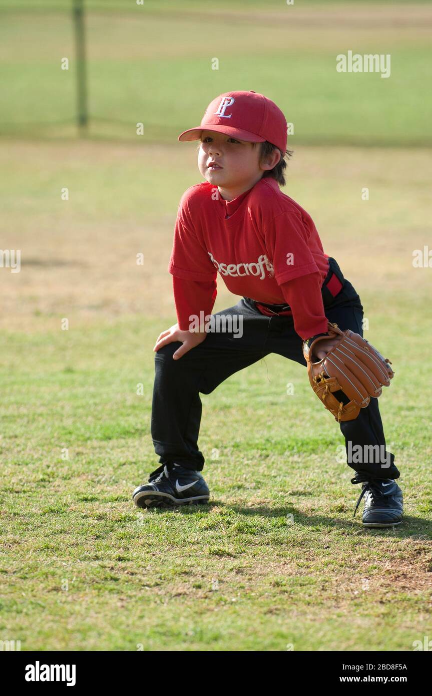 TBall baseball player in the ready position in the outfield Stock Photo