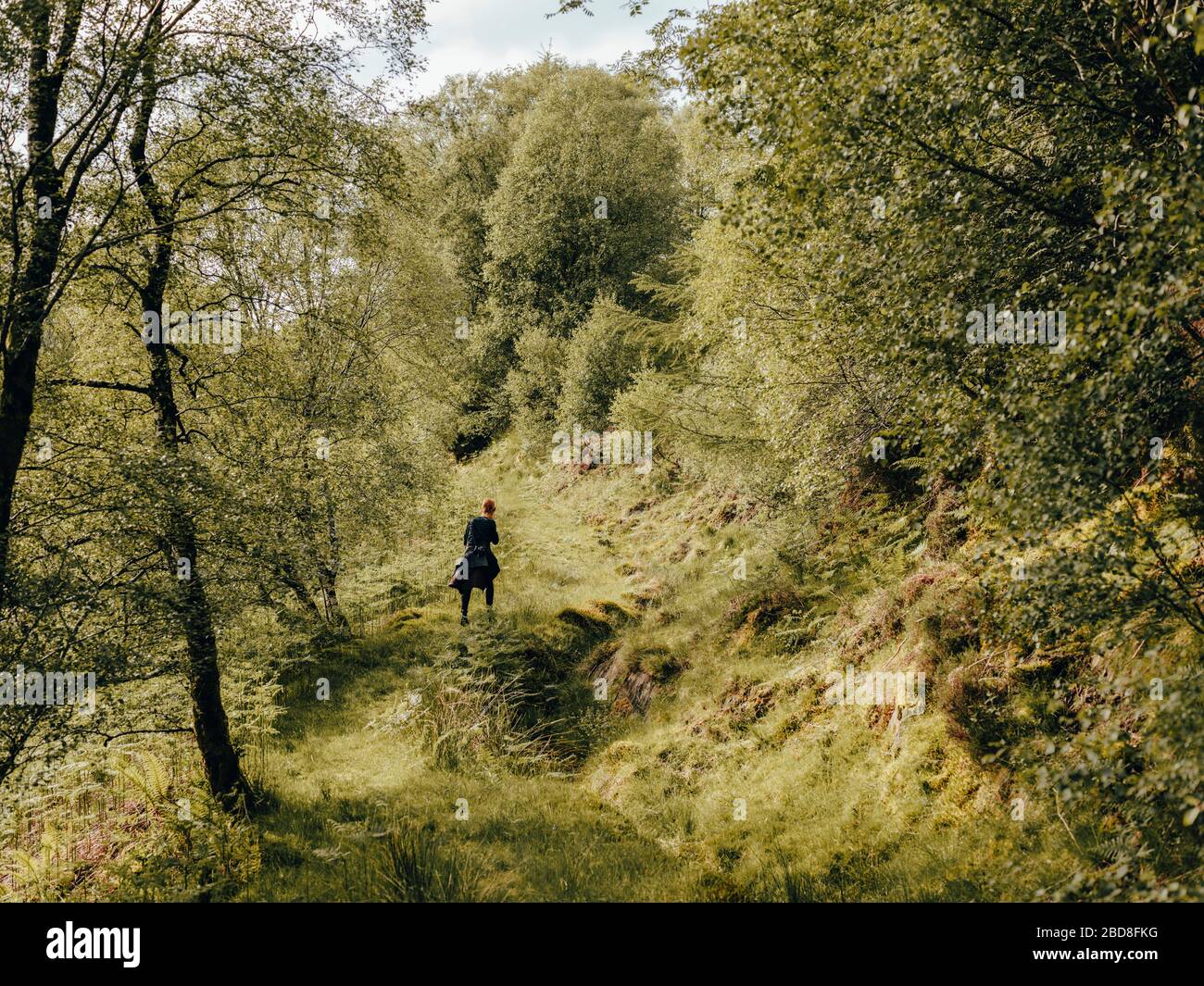 Woman hiking up grassy trail in Scotland forest Stock Photo