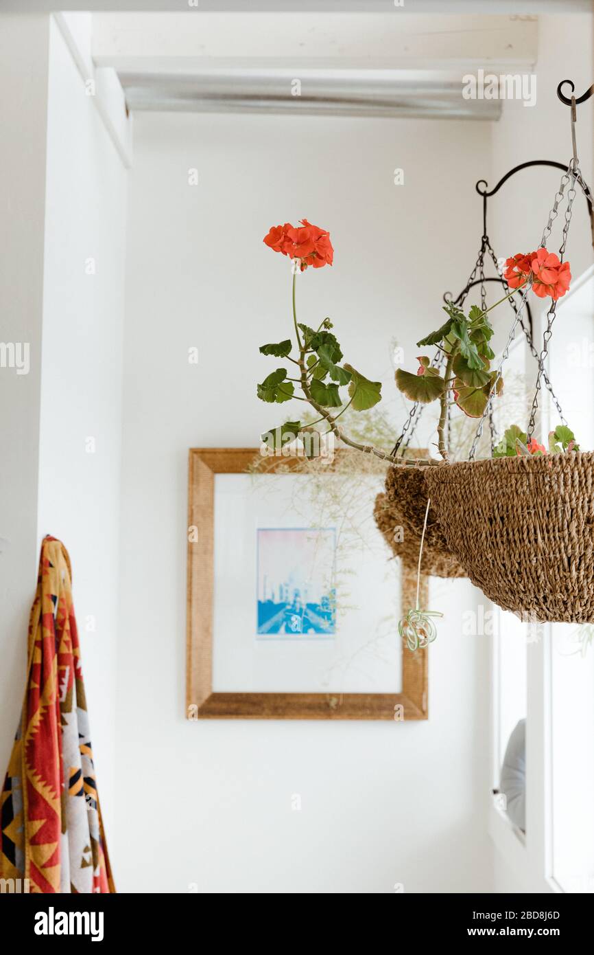 hanging geraniums and Pendleton towel decorate a clean white bathroom Stock Photo