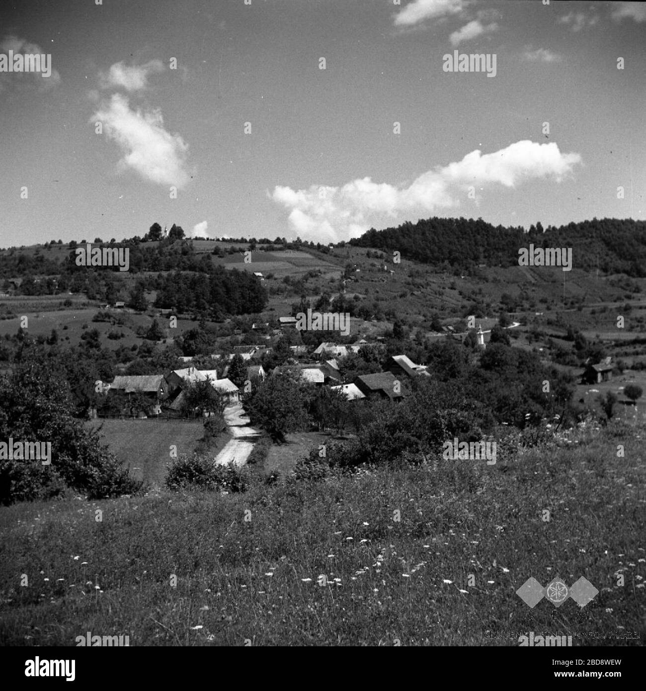 Page 9 - Kostanjevica High Resolution Stock Photography and Images - Alamy