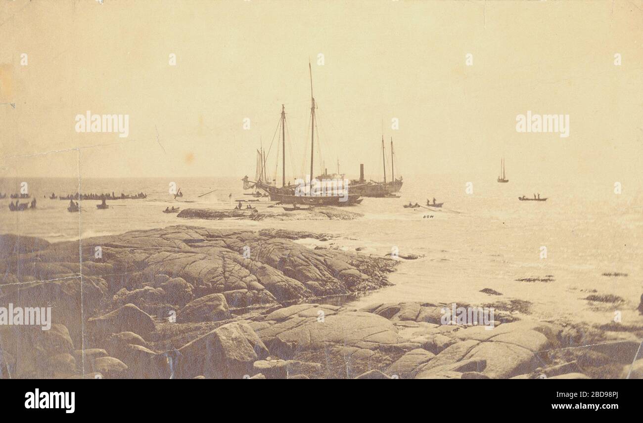 Ss atlantic white star hi-res stock photography and images - Alamy