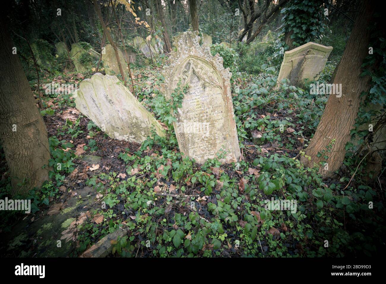 gravestones in a graveyard, nunhead cemetery Stock Photo