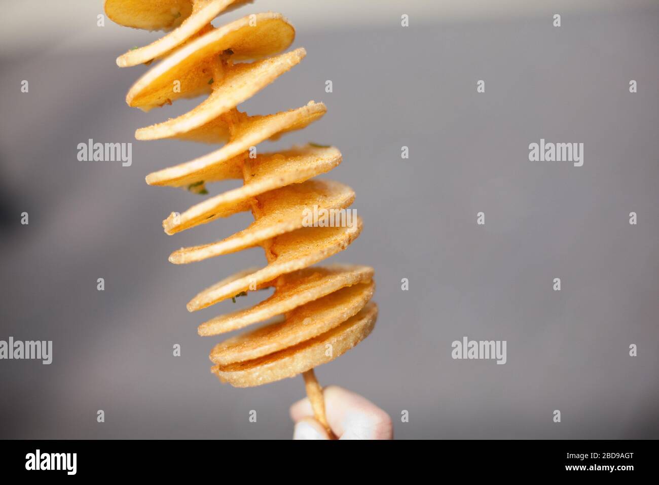 Twisted Potatoes On A Stick (PotatoTornadoes Stock Photo Alamy