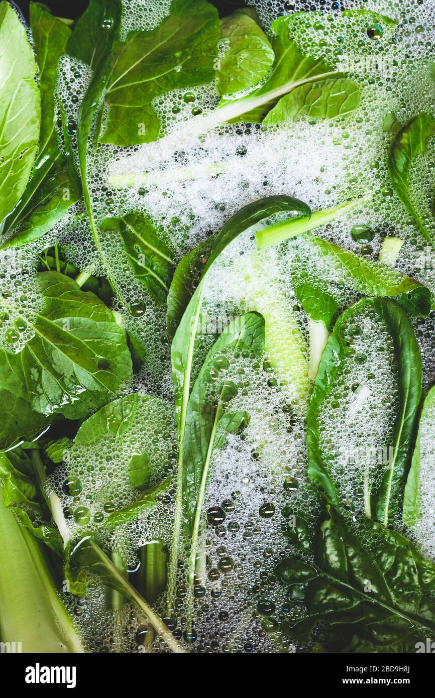 healthy-plant-based-food-ingredients-concept-mixed-green-leaves