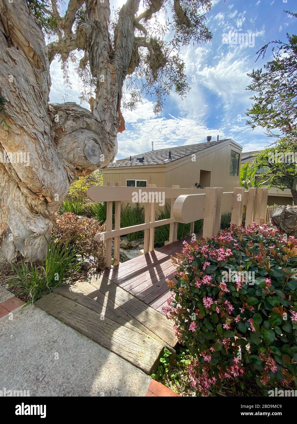 Clean garden and lawn along the walk path through the typical apartment