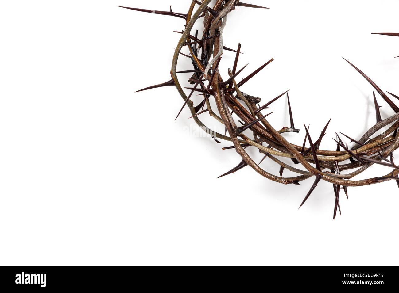 A crown of thorns on a white background. Easter theme Stock Photo