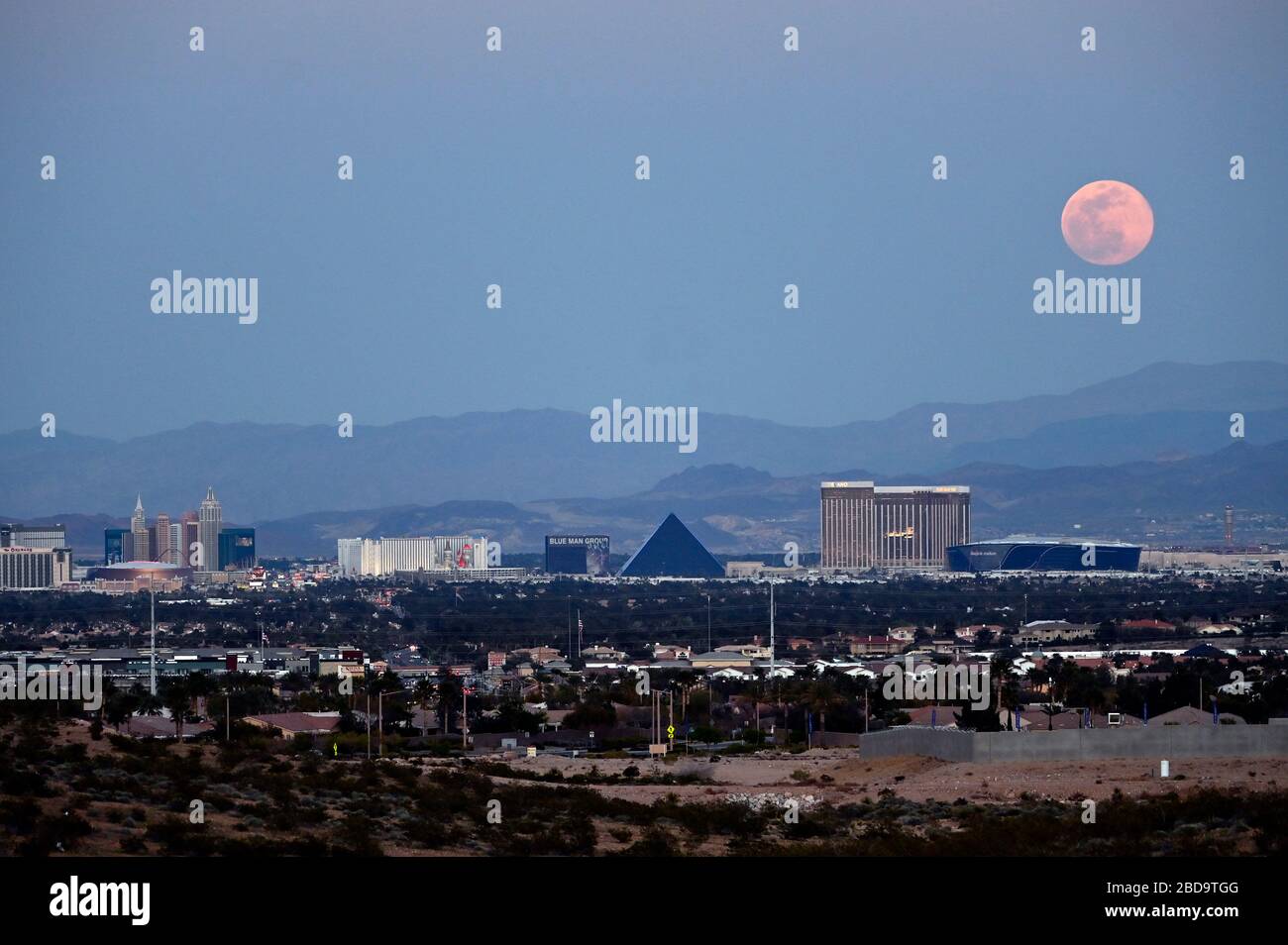 Las Vegas, Nevada, USA. 7th Apr, 2020. The super pink moon, the biggest supermoon of the year, rises over the Las Vegas Strip on April 7, 2020 in Las Vegas, Nevada. The pink moon got its name because the April full moon occurs at the same time as the pink wildflower Phlox subulata blooms in North America. A supermoon occurs when a full moon coincides with its perigee, which is its closest approach to the Earth. Credit: David Becker/ZUMA Wire/Alamy Live News Stock Photo