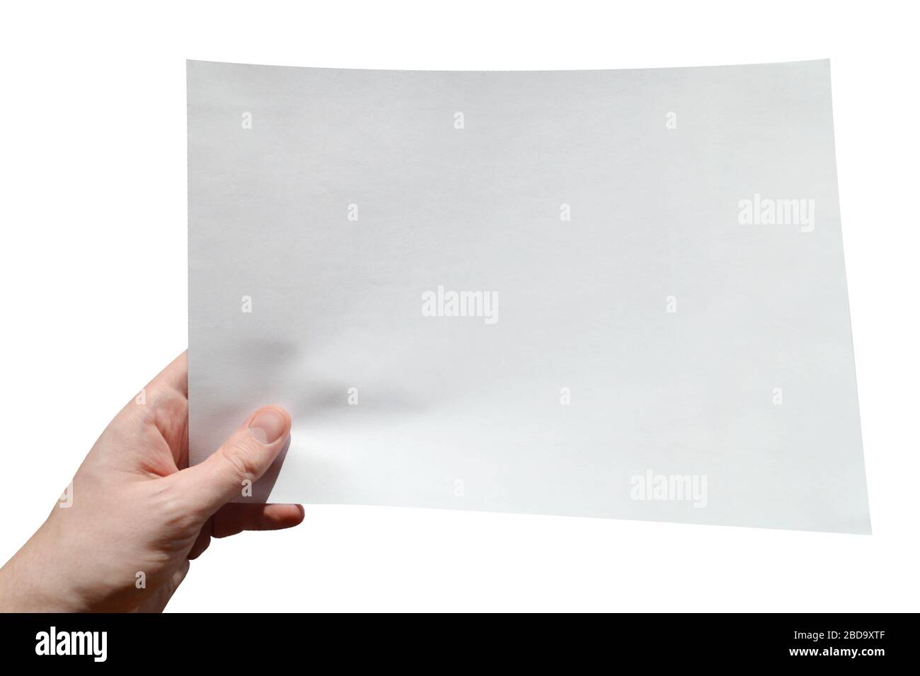 Hand holding piece of paper, white background Stock Photo Alamy