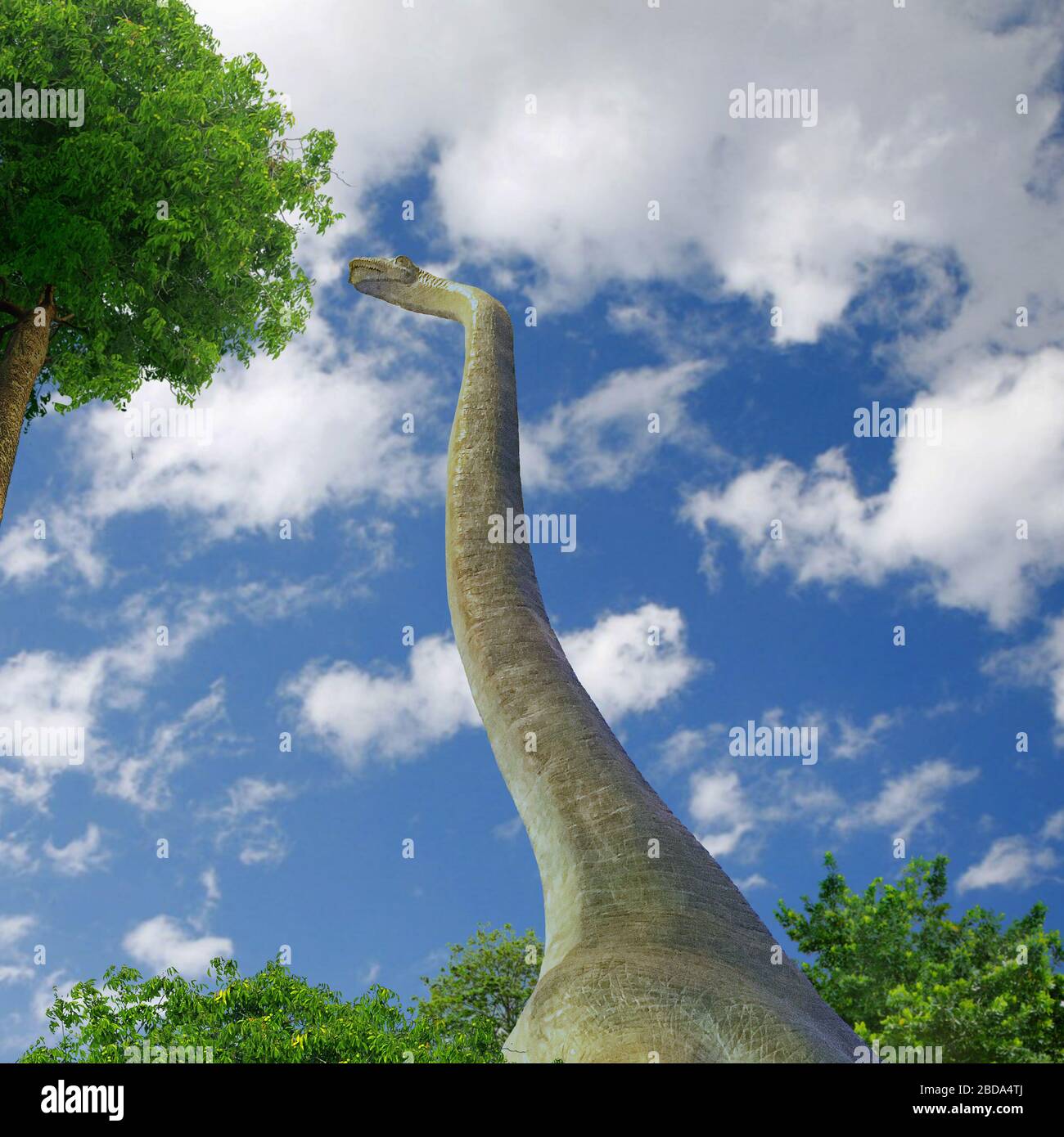 Dinosaur live image Stock Photo