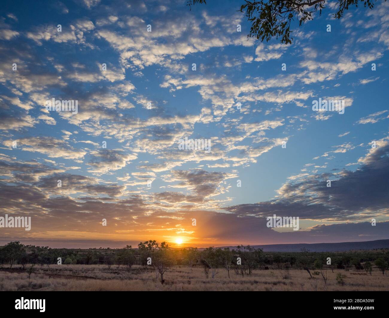Savannah sunrise, Mornington, The Kimberley, Western Australia Stock Photo