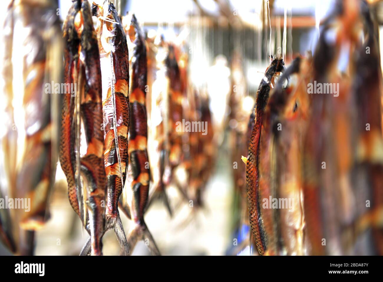 dried fish Taiwan Stock Photo Alamy