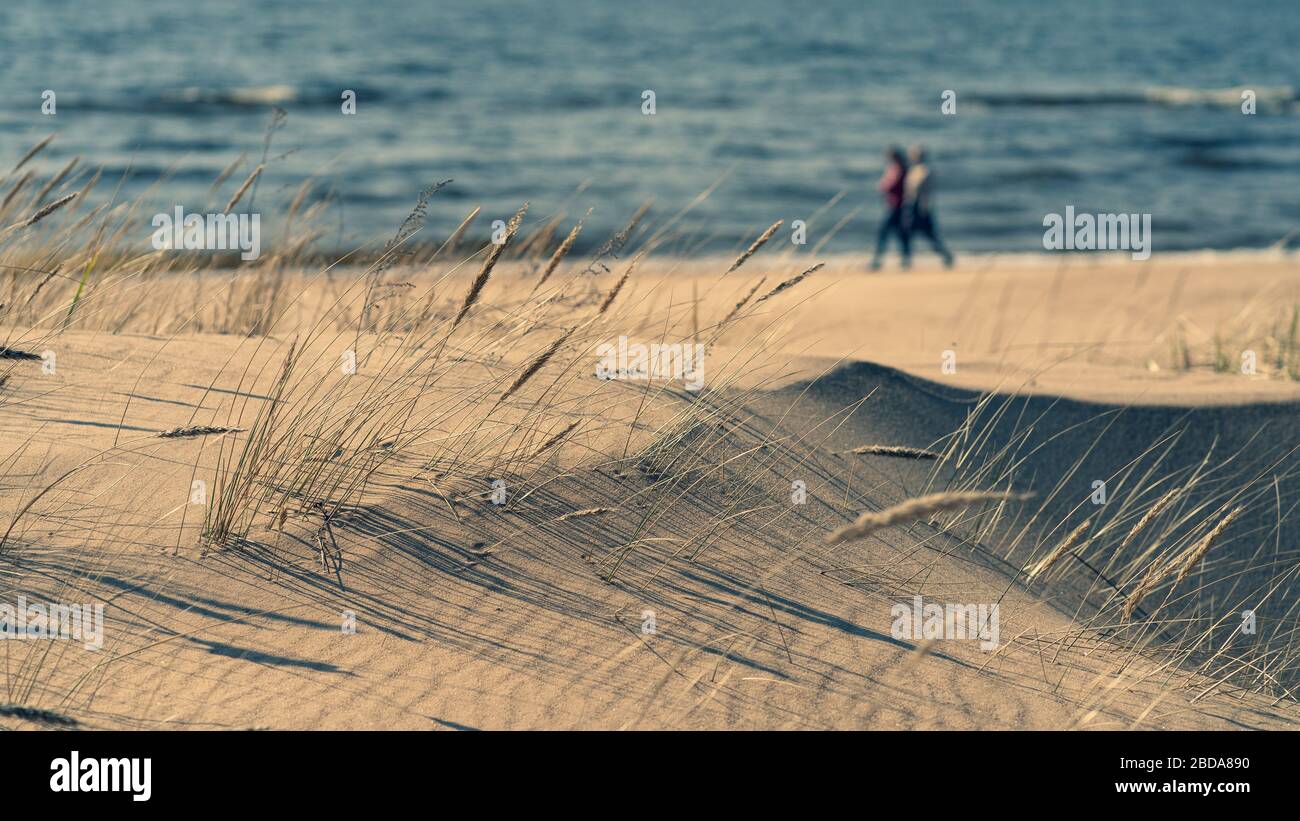 Walking along the sea among the dunes Stock Photo