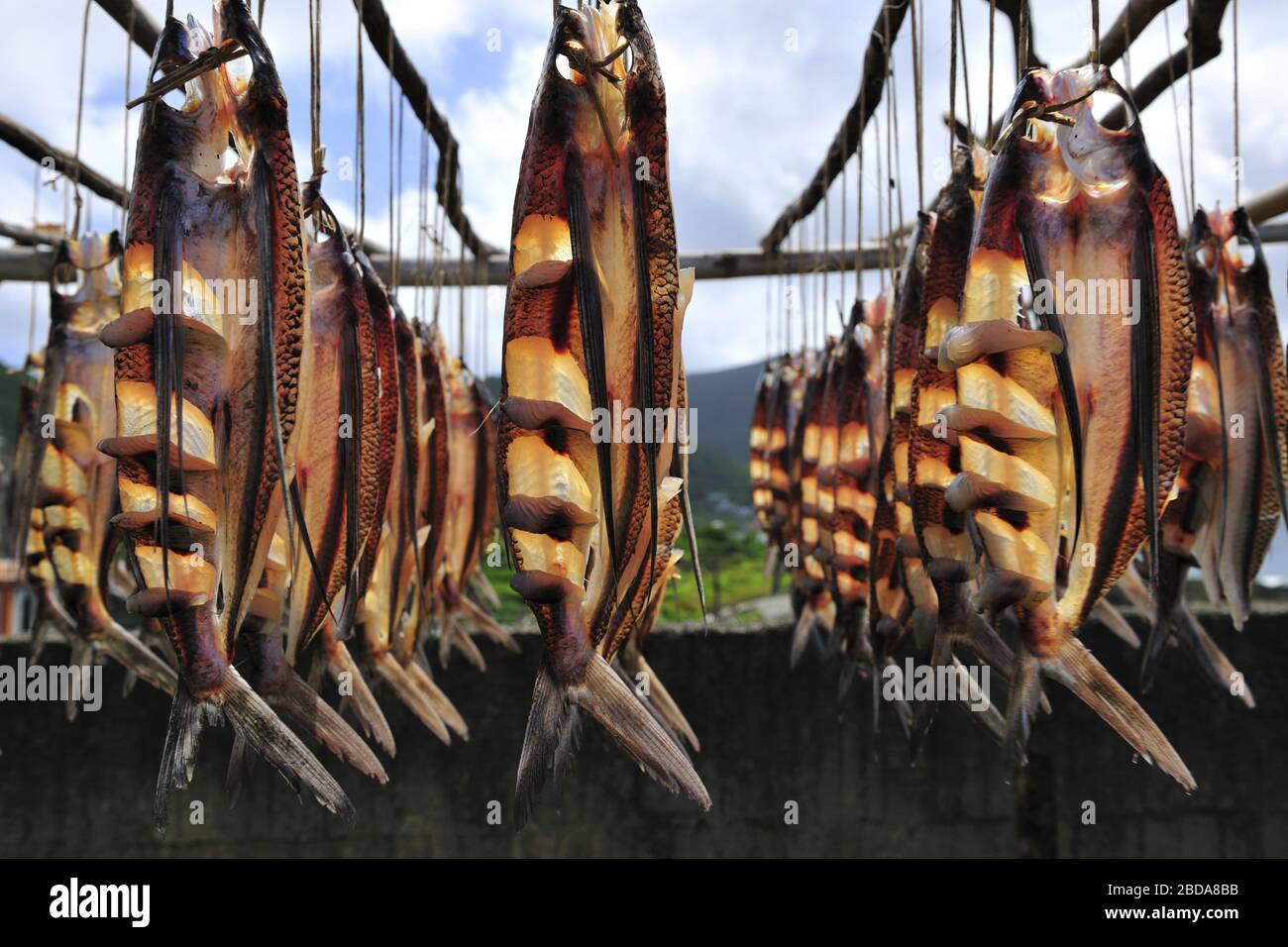dried fish Taiwan Stock Photo Alamy