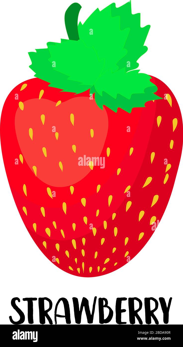 Strawberry red berry on a white background isolated Stock Vector Image ...