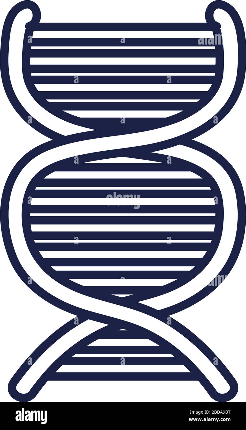 Dna structure line style icon design, Chromosome science molecule ...