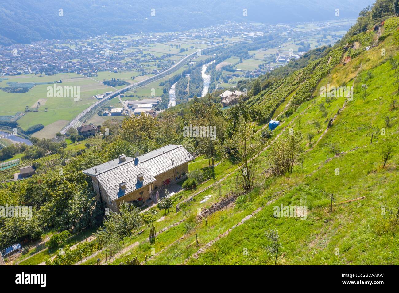 Farms on hills of terraced vineyards, Costiera dei Cech, Valtellina