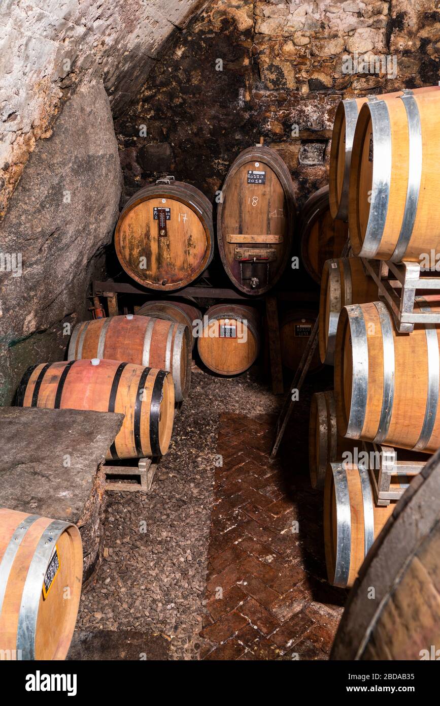 Stack of wine barrels in cellar built with stone, Costiera dei Cech, Valtellina, Sondrio, Lombardy, Italy Stock Photo