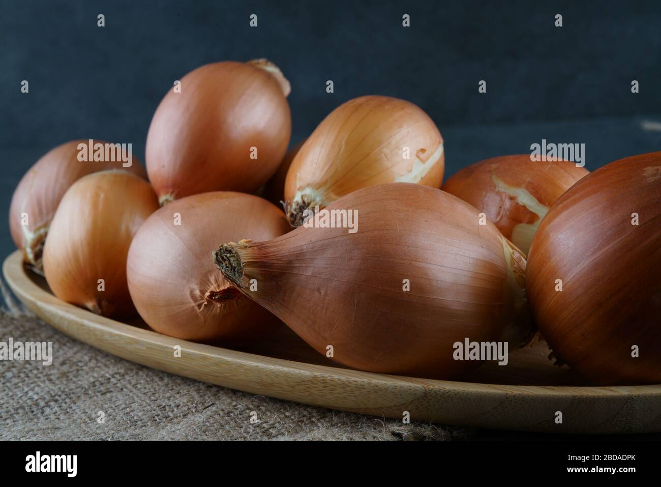 fresh gold onion on dark background Stock Photo