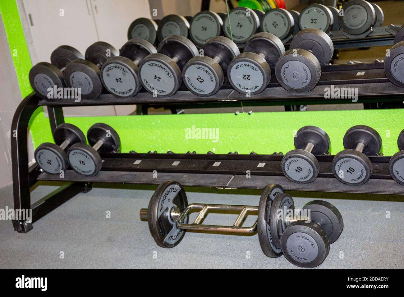 Technogym dumbbells online