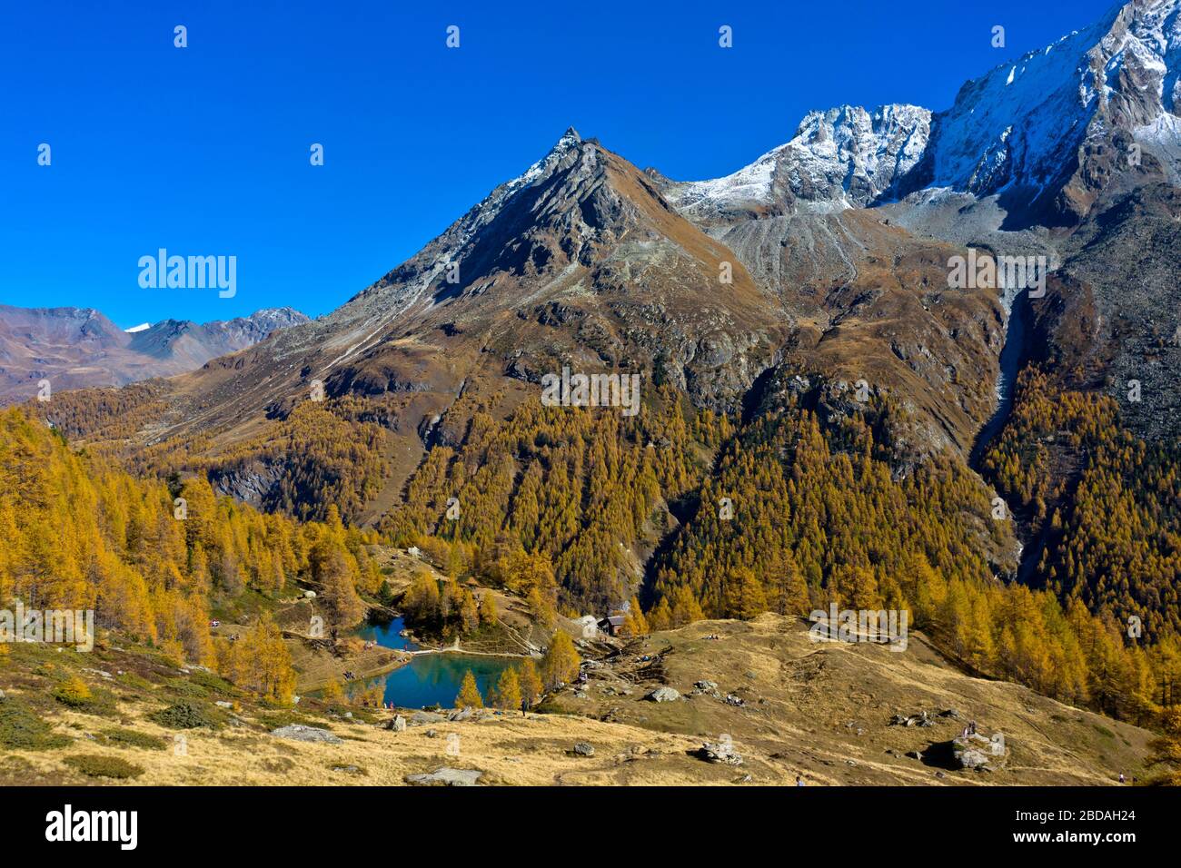 Mountain lake Lac Bleu de Louche inmidst of a larch forest in bright autumn colors, Val d'Herens, Eringertal, Valais, Switzerland Stock Photo