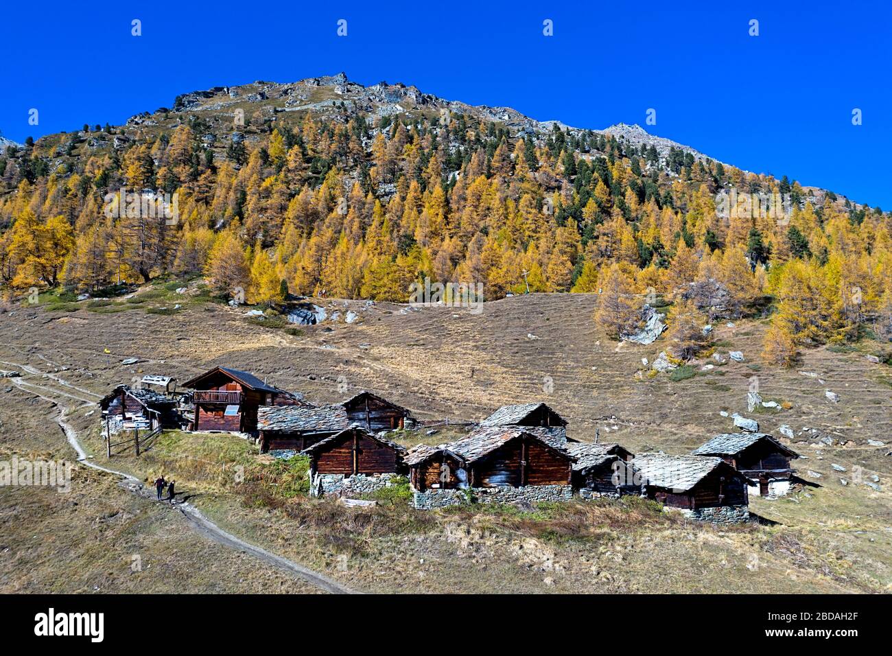 The hamlet of Le Louché at the foot of a larch forest in bright autumn colors, Val d'Herens, Eringertal, Valais, Switzerland Stock Photo