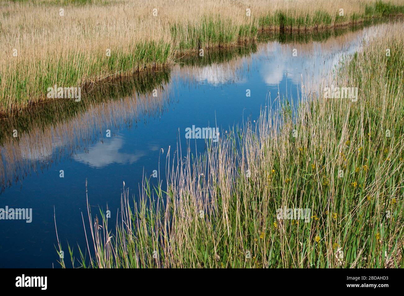 River flowing into the ocean hi-res stock photography and images - Alamy