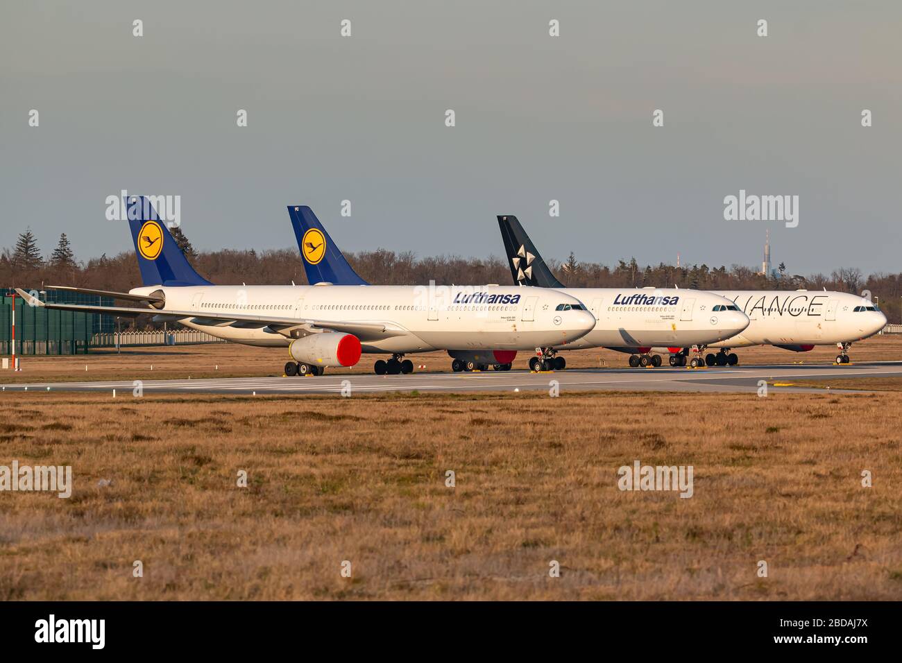 Frankfurt, Germany - April 7, 2020: Lufthansa Airbus A330 and A340 grounded and stored at Frankfurt airport (FRA) in the Germany. Airbus is an aircraf Stock Photo