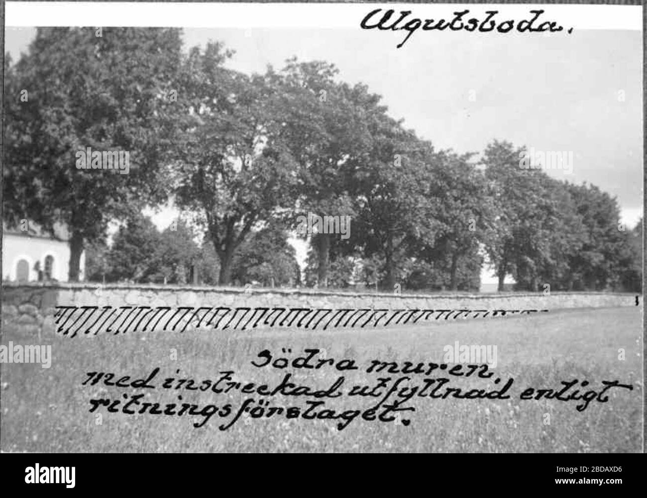 uppdaterad 03 juni 2019. SAMUELSDOTTER Maria Helena. eskilf. r 1851 - 1851. Algutsboda (H), Kina. eskilf. Eskil FREDRIKSSON (Familjetrdets gare). Person: SAMUELSDOTTER, Kina - Sk Dina frfder
