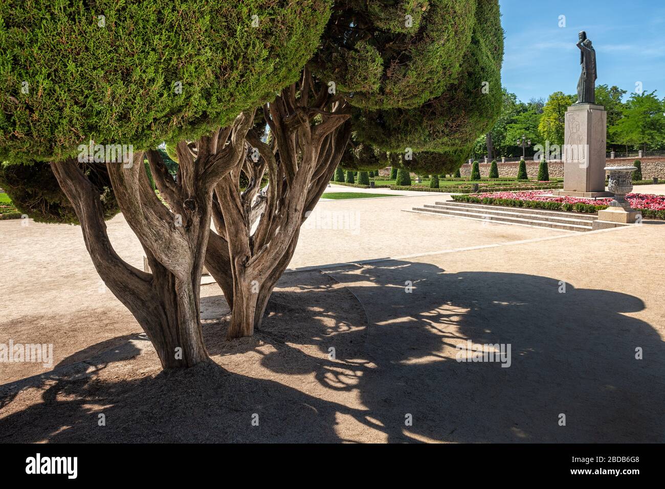 Madrid (Spain): Unusual shaped Cypress tree in the Park of Buen Retiro with statue in distance Stock Photo