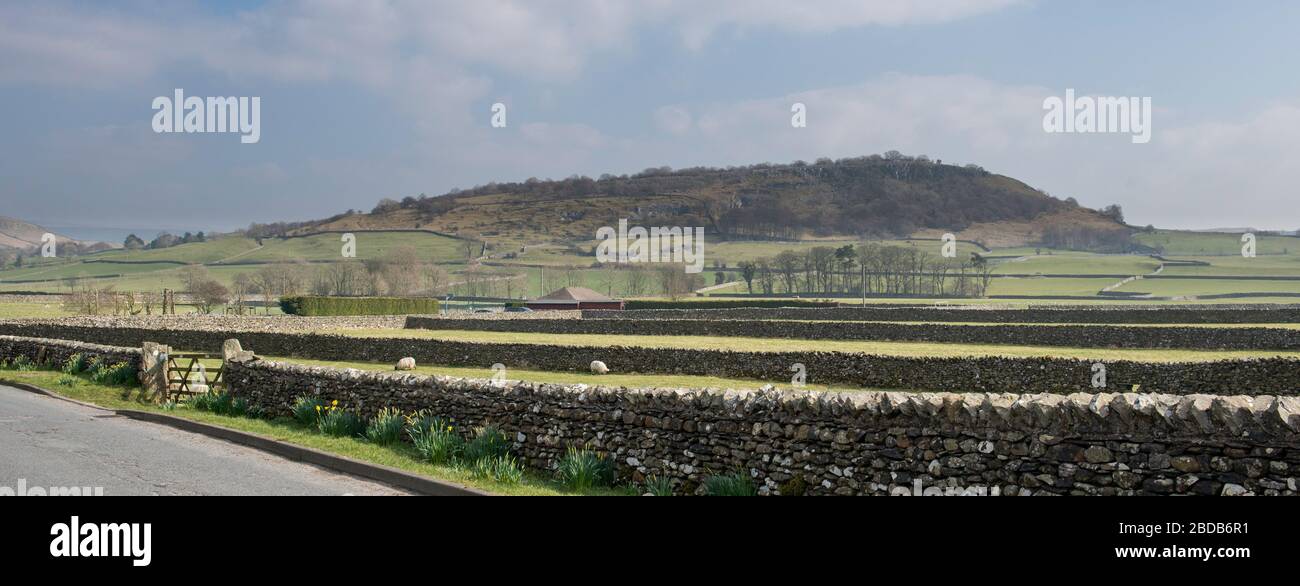 Panoramic view from the Yorkshire Dales village of Austwick across fields and dry stone walls towards Oxenber Woods, an area of ancient woodland Stock Photo