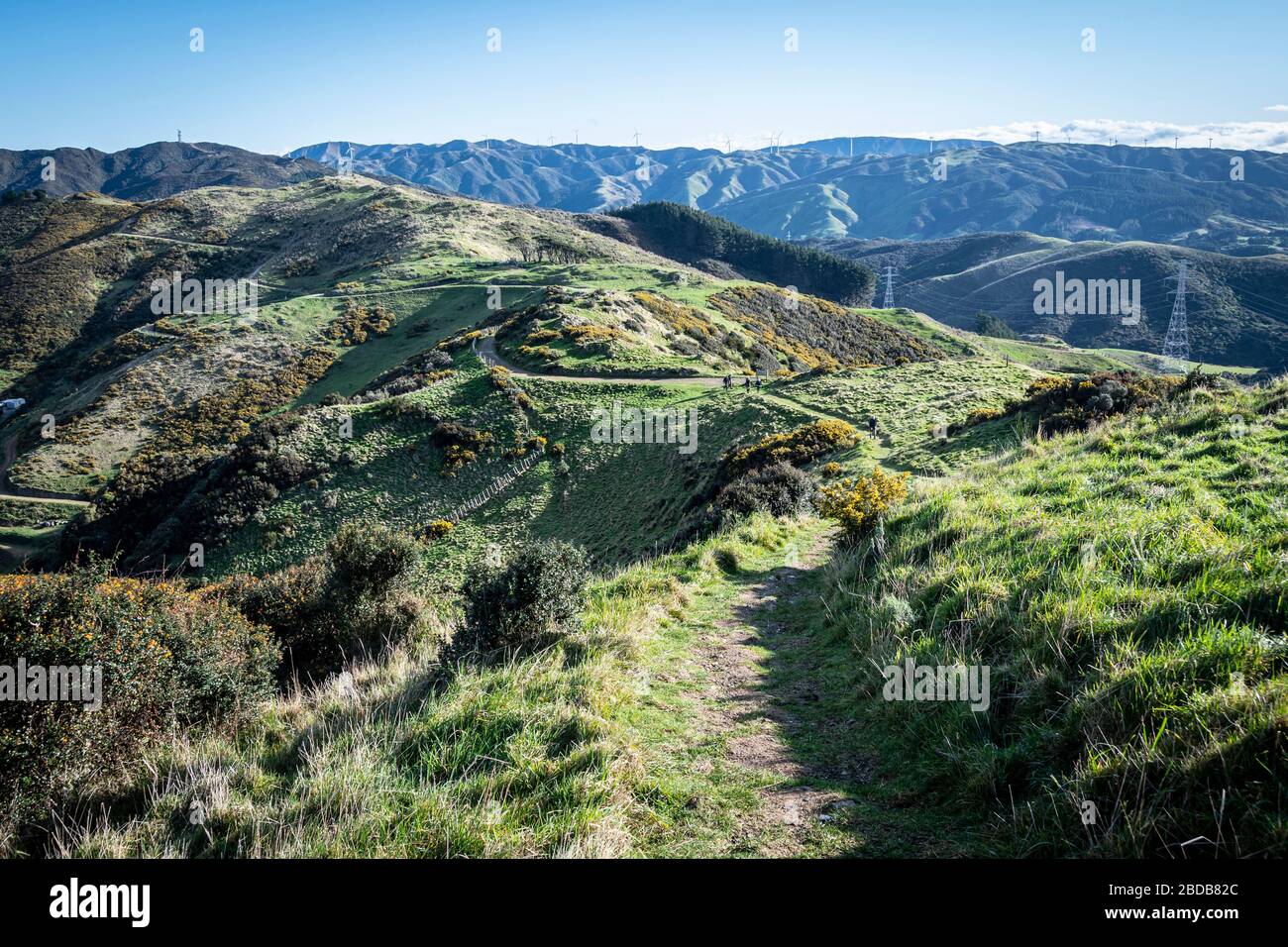 Skyline Walkway, above Karori, Wellington, New Zealand Stock Photo Alamy