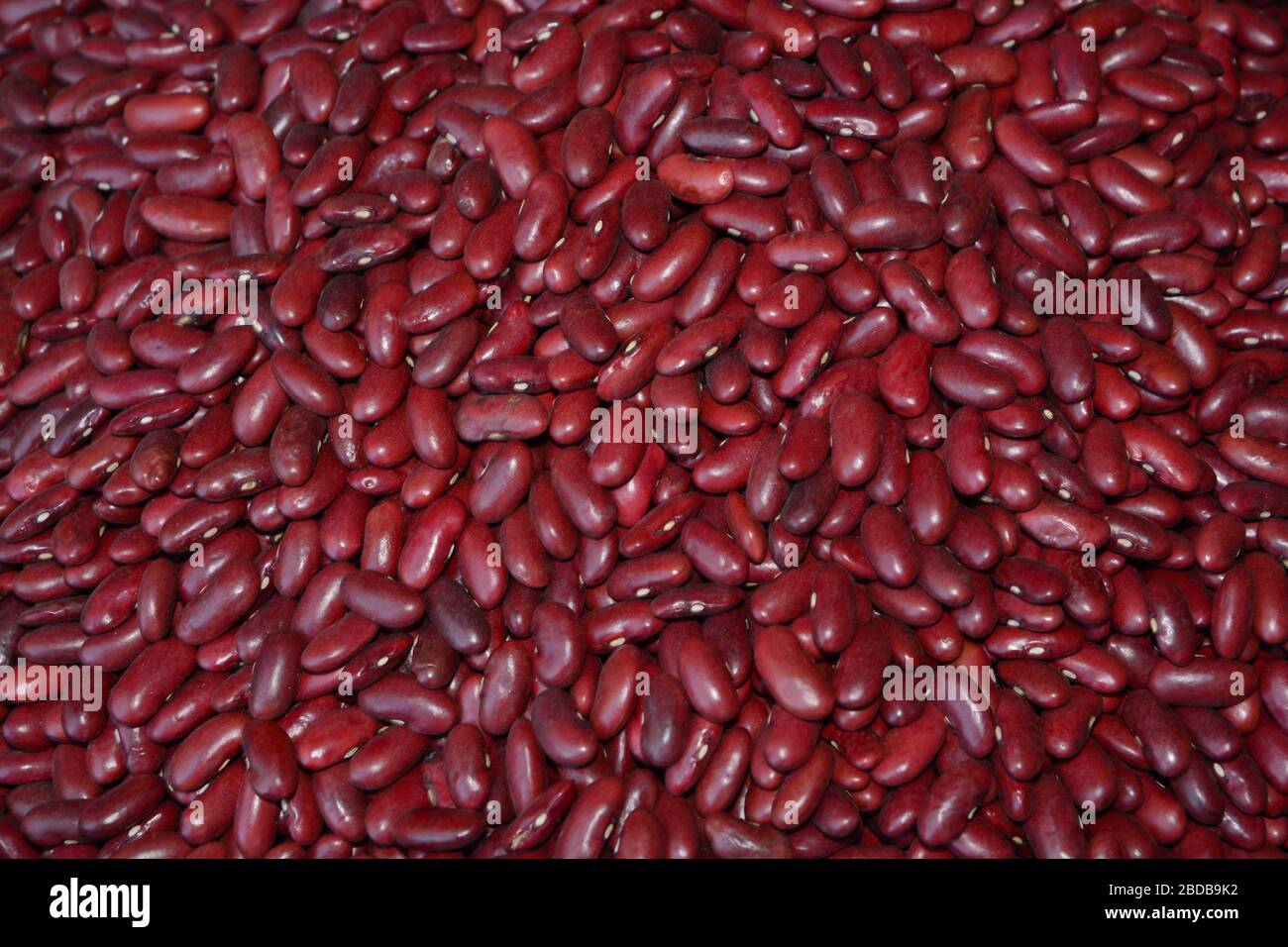 Red kidney bean field hires stock photography and images Alamy