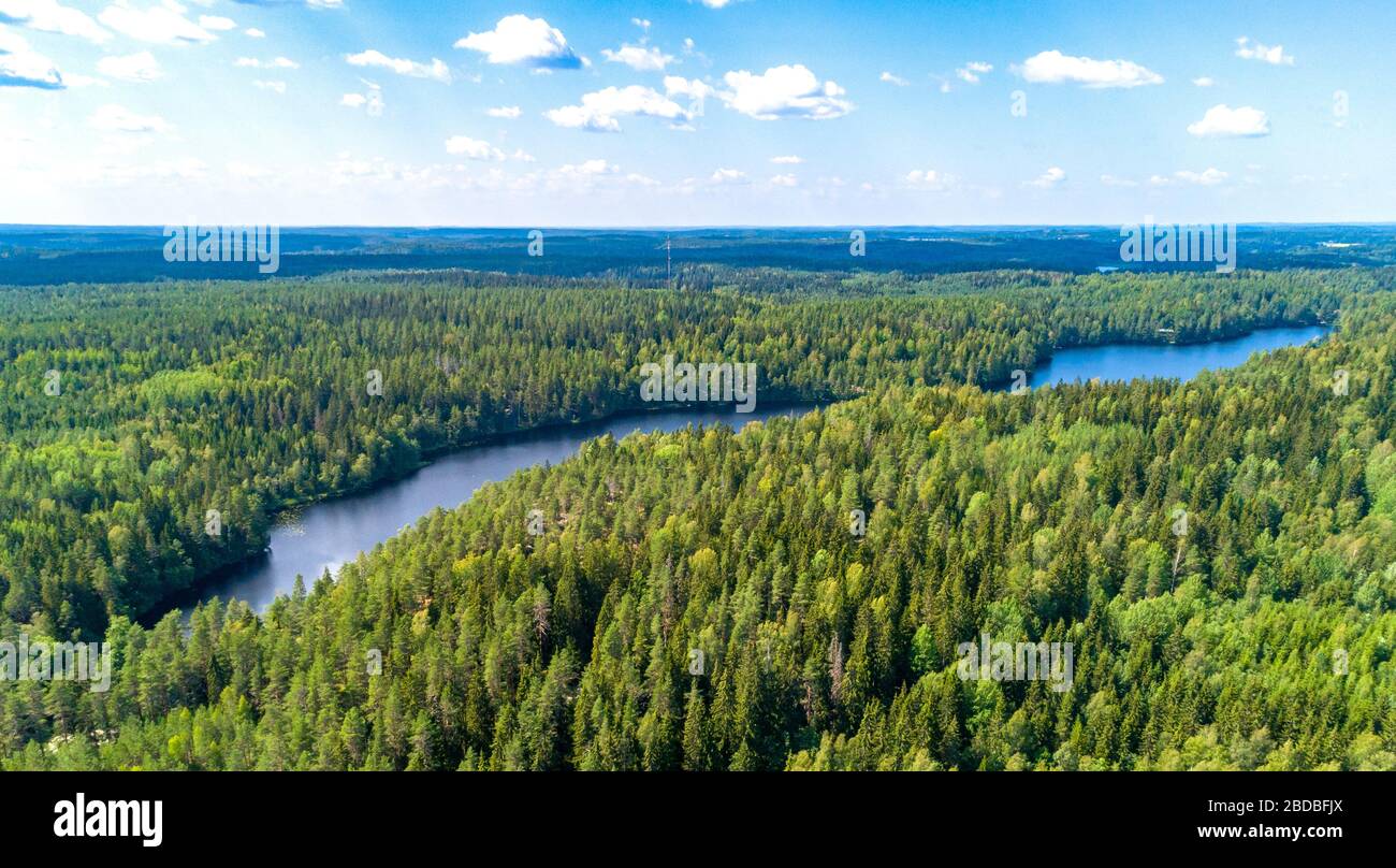 Aerial view of blue lakes and green forests on a sunny summer day in Finland. Stock Photo