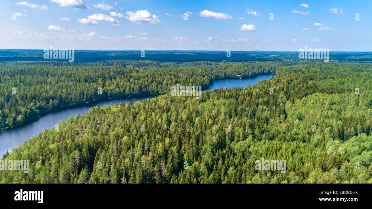 Aerial view of blue lakes and green forests on a sunny summer day in ...