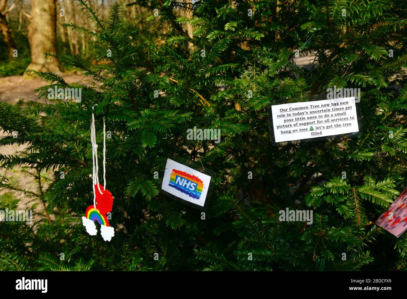 8th April 2020, Southborough Common, Kent, UK: Childs drawing of a rainbow to thank NHS staff hanging on a tree put up for the purpose on Southborough Common during the government imposed quarantine / lockdown to reduce the spread of the coronavirus. Children across the country have been putting messages and drawings of rainbows in windows and elsewhere to spread hope and encourage people to stay cheerful during the pandemic. Stock Photo