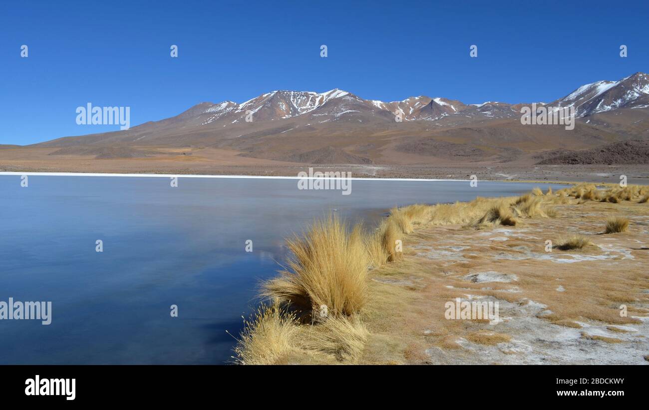 Beautiful Cañapa lagoon in the Bolivian highlands Stock Photo