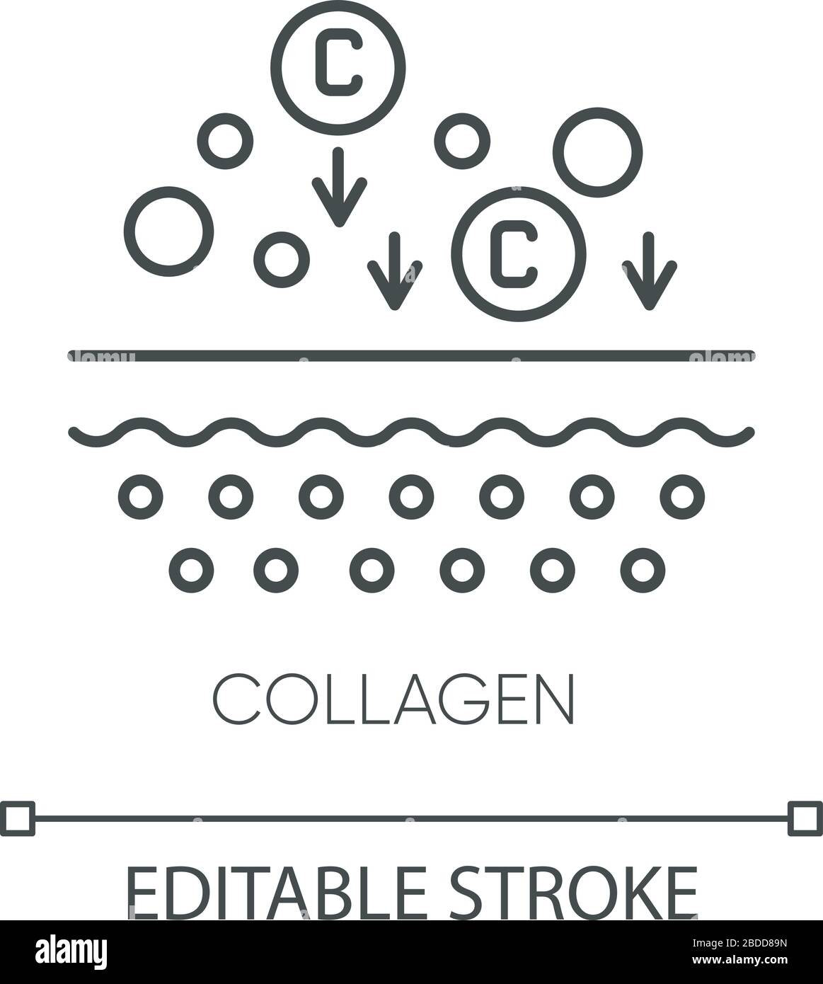 Collagen protein structure Black and White Stock Photos & Images - Alamy