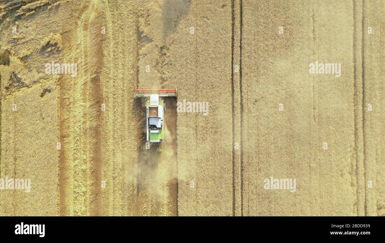 Ripe wheat field drone flying hi-res stock photography and images - Alamy