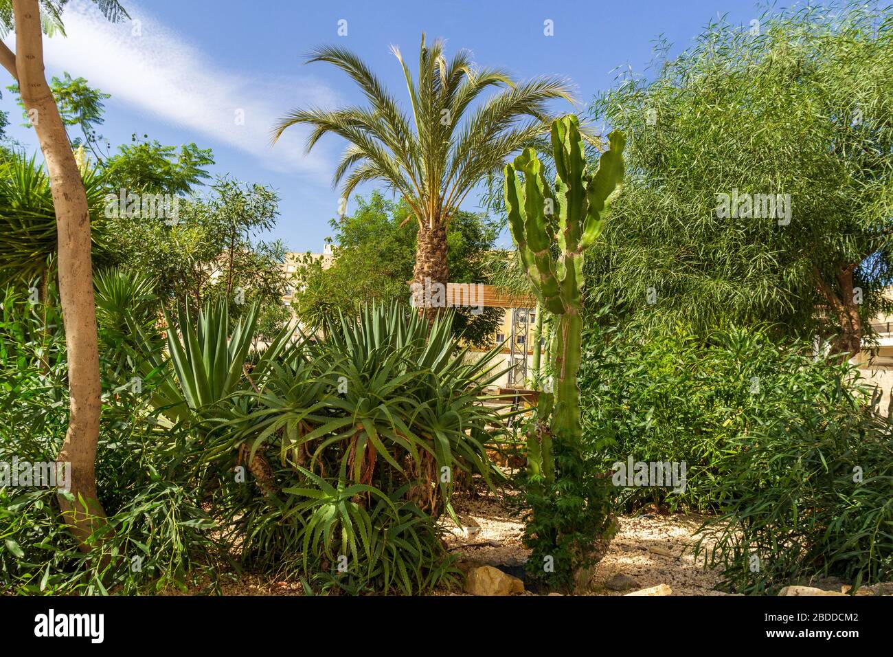 Open Space Rest Area Planted With Trees and Plants, Albox Almeria Province Andalucia Spain Stock Photo