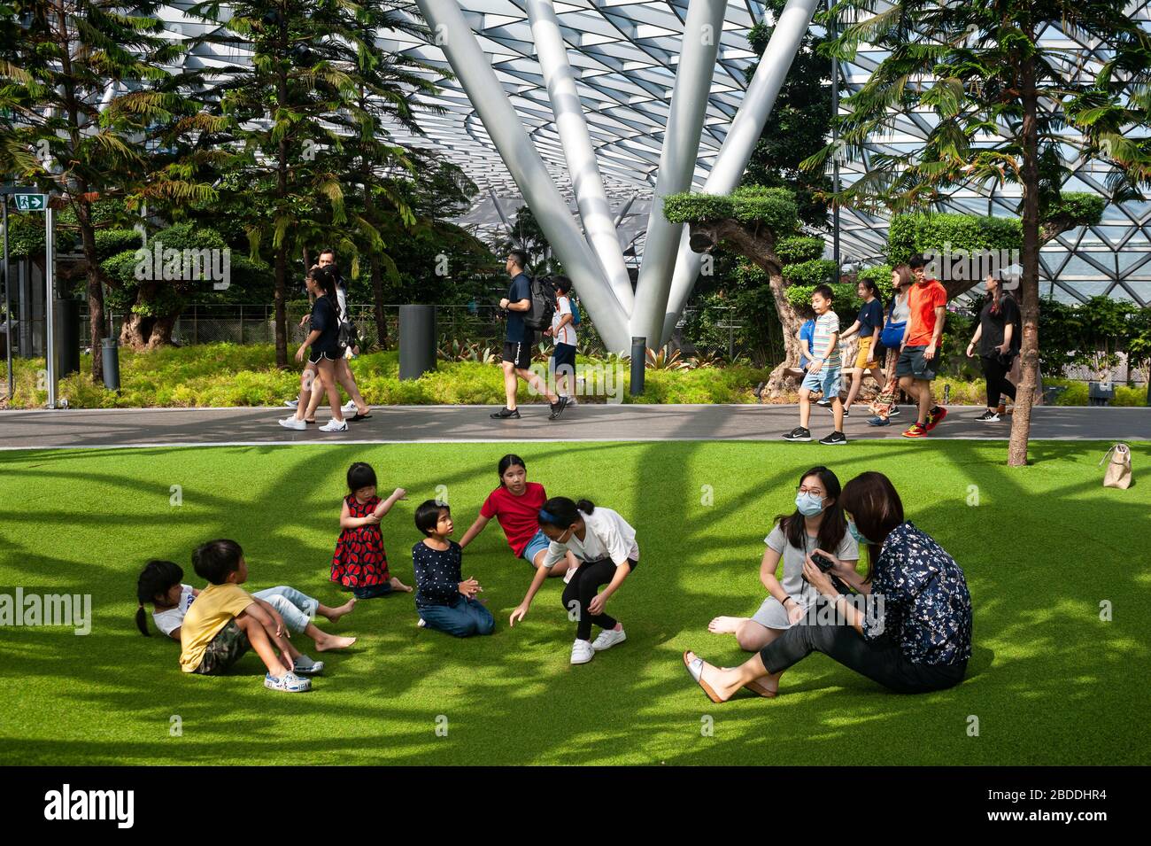 18.03.2020, Singapore, , Singapore - Children playing on the artificial turf of the Foggy Bowls, a playground surrounded by pine trees in Canopy Park, Stock Photo