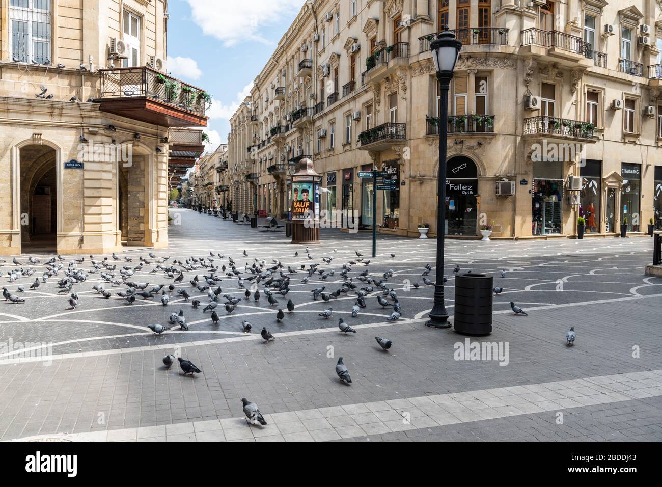 Baku, Azerbaijan – April 8, 2020. Nizami street in Baku taken by pigeons in the wake of quarantine measures imposed to prevent proliferation of corona Stock Photo