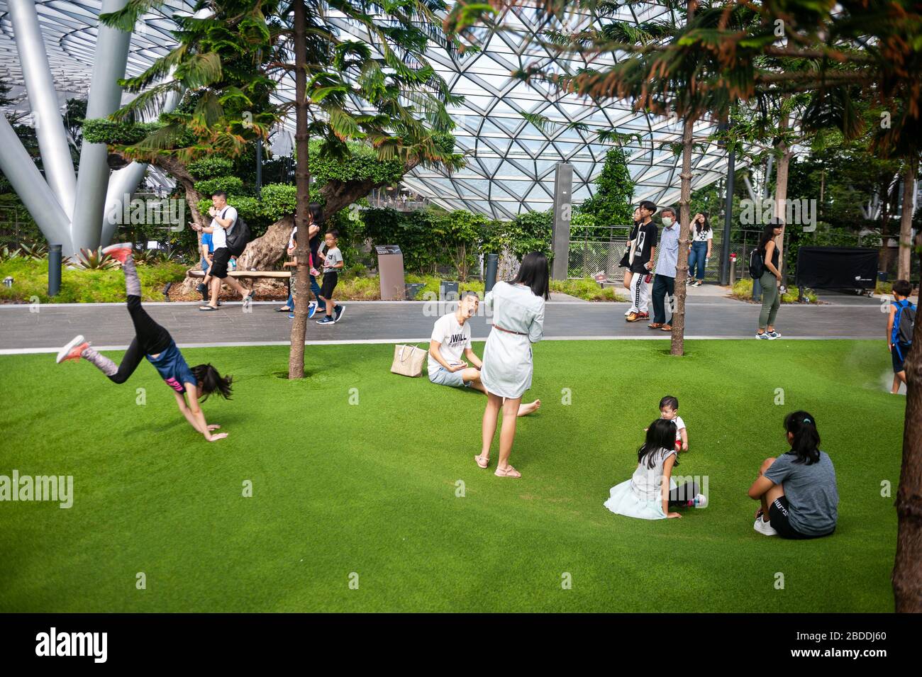 18.03.2020, Singapore, , Singapore - Children play on the artificial turf of the Foggy Bowls, a playground surrounded by pine trees in Canopy Park, in Stock Photo