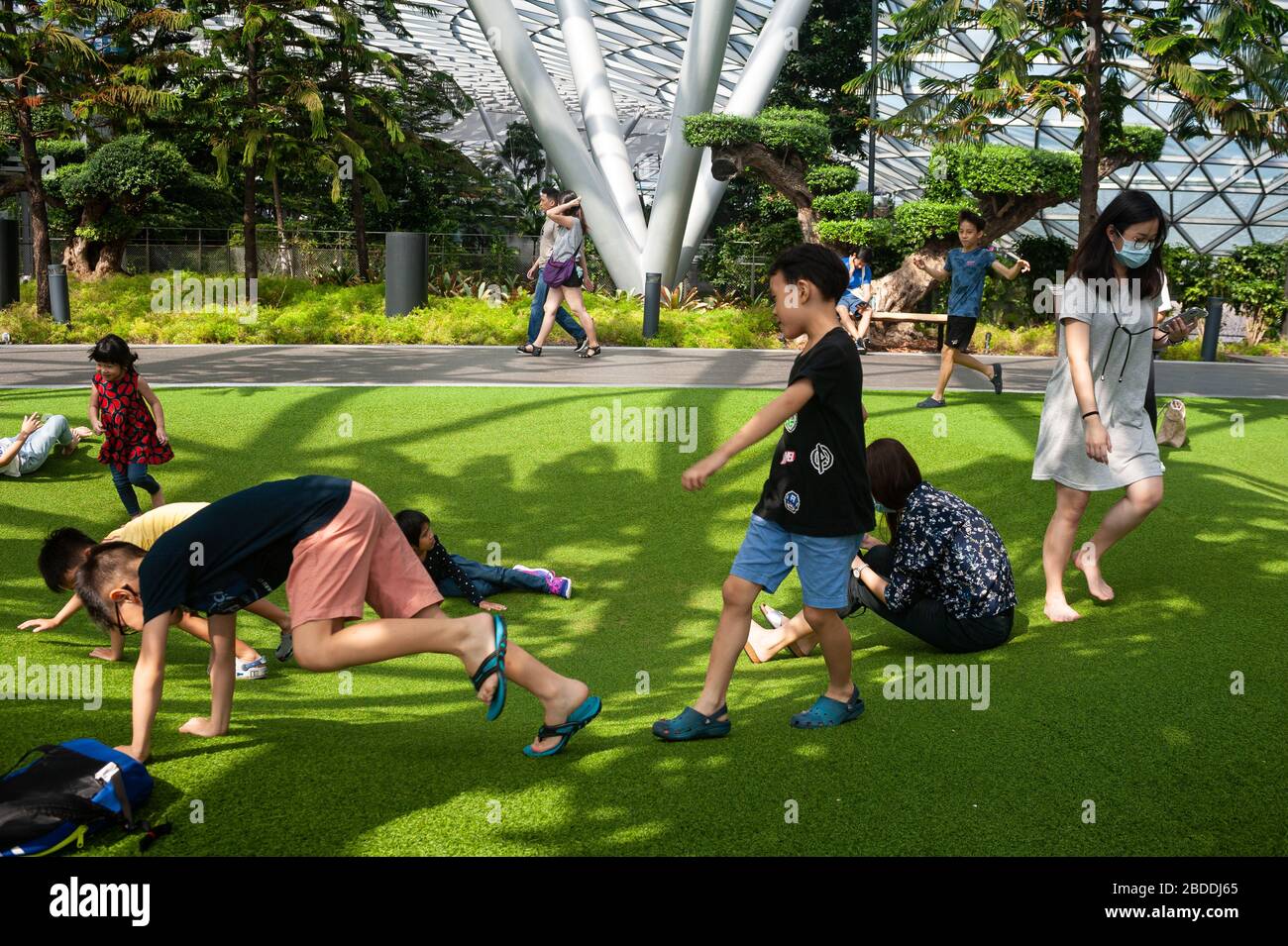 18.03.2020, Singapore, , Singapore - Children play on the artificial grass of Foggy Bowls, a playground surrounded by pine trees in Canopy Park, in th Stock Photo