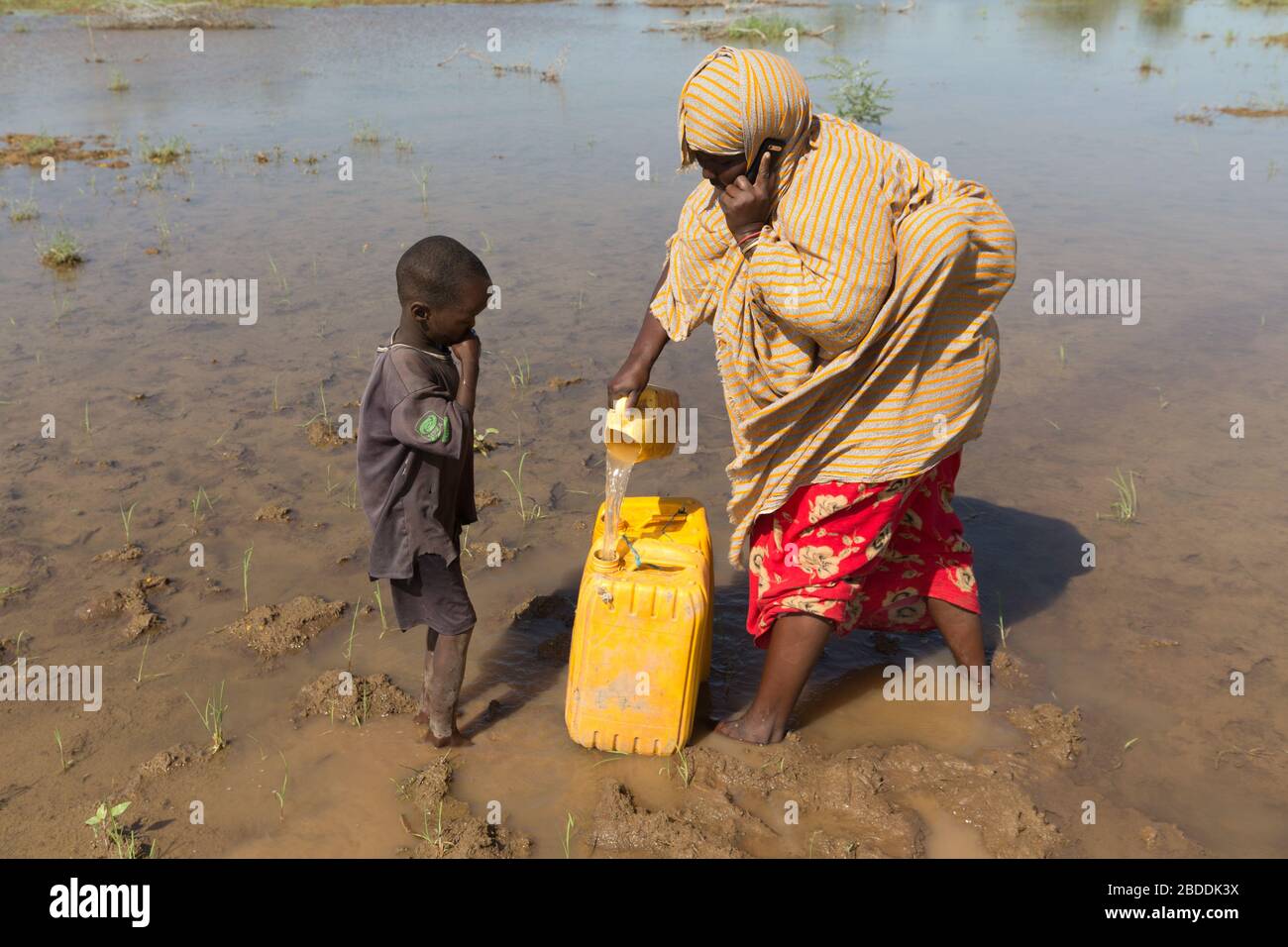14.11.2019, Gode, Somali Region, Ethiopia - A woman scoops water from a natural water source into a water canister. She is talking on her mobile phone Stock Photo