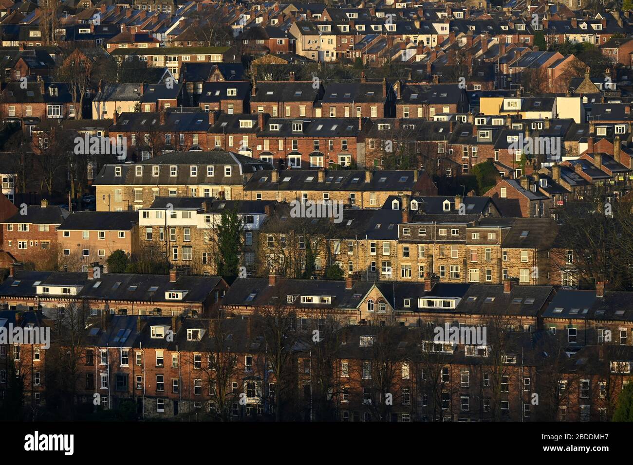 Rows of terraced housing Sheffield England Stock Photo Alamy