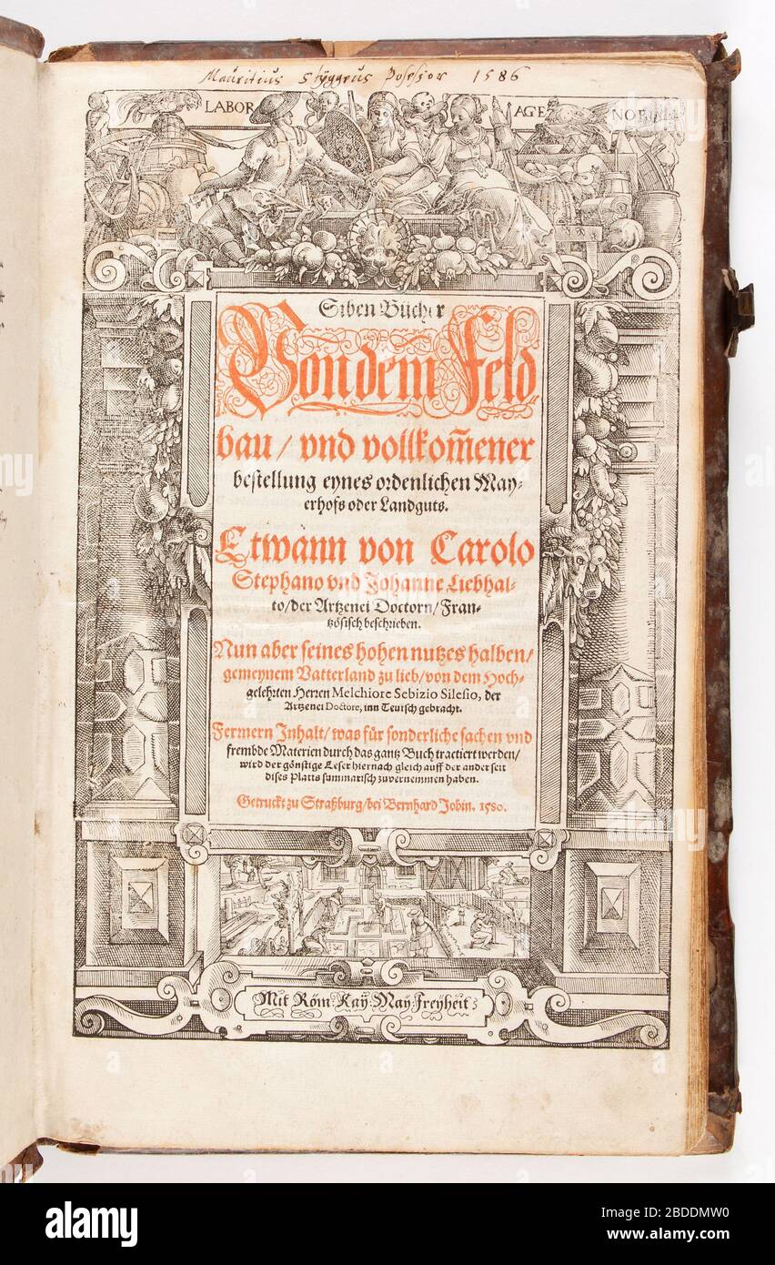 'Siben Bücher von dem Feldbau, vnd... bestellung eynes... Mayerhofs oder Landguts. Etwann von Carolo Stephano vnd Johanne Liebhalto... beschrieben. Nun... von... Melchiore Sebizio Silesio... in teutsch gebracht... Getruckt zu Straszburg, bei Bernhard Jobin 1580.label QS:Lsv,Siben Bücher von dem Feldbau, vnd... bestellung eynes... Mayerhofs oder Landguts. Etwann von Carolo Stephano vnd Johanne Liebhalto... beschrieben. Nun... von... Melchiore Sebizio Silesio... in teutsch gebracht... Getruckt zu Straszburg, bei Bernhard Jobin; Svenska: Kalvskinnsband m. rik blindtr. dekor, pärm. Verktyg: rullar Stock Photo