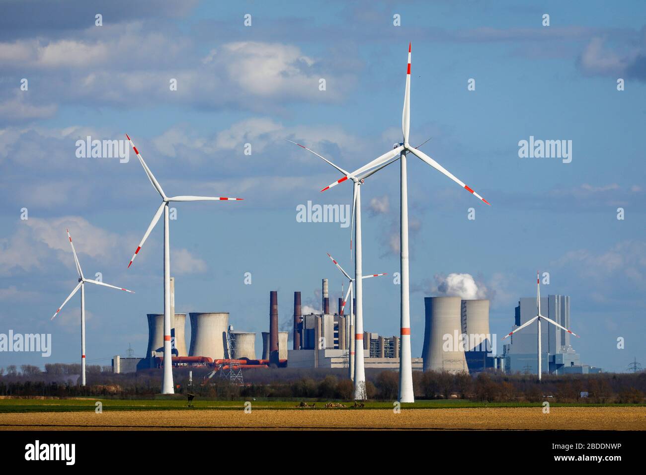 12.03.2020, Grevenbroich, North Rhine-Westphalia, Germany - Wind farm at RWE power plant Neurath, lignite power plant at RWE lignite opencast mine Gar Stock Photo