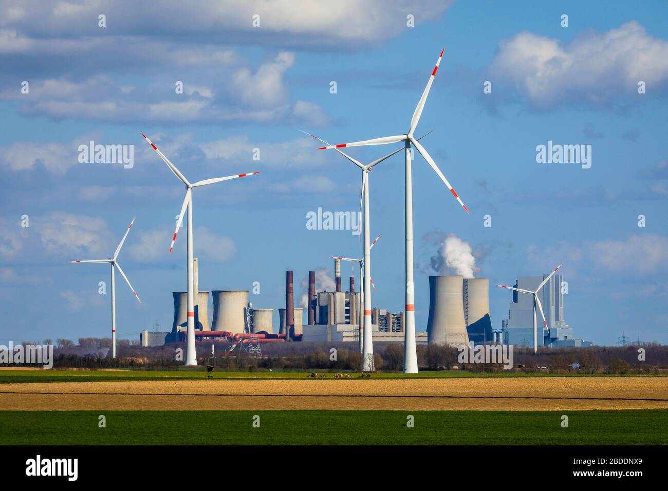 12.03.2020, Grevenbroich, North Rhine-Westphalia, Germany - Wind farm at the RWE power plant Neurath, lignite power plant at the RWE lignite opencast Stock Photo