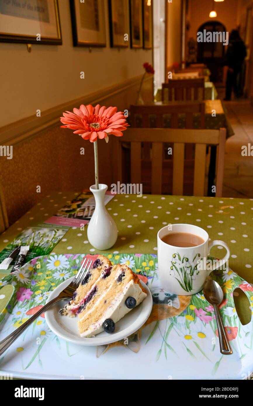 Hopton hall tea rooms hires stock photography and images Alamy
