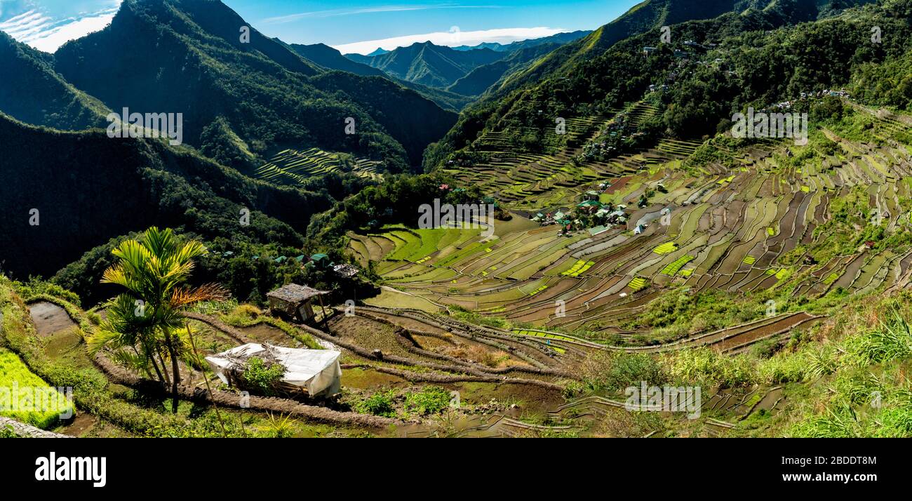 Panorama in Batad, Phillipines Stock Photo - Alamy